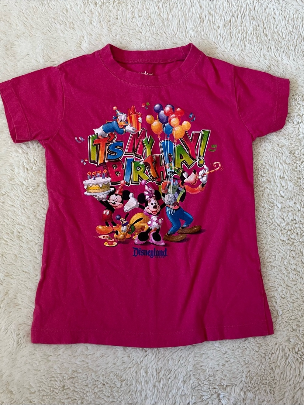Disneyland "It's My Birthday" Pink Kids Tee Sz S (5/6)